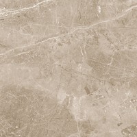 Obsidian Taupe Полированный 60x60