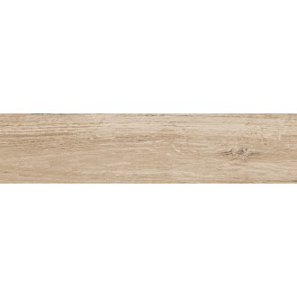 Ocala Forest 19.5x84