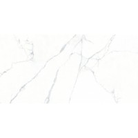 Ogma Полированный 80x160