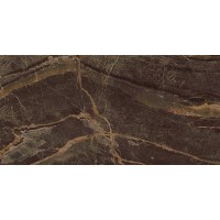 Olympea Brown Pul 60*120