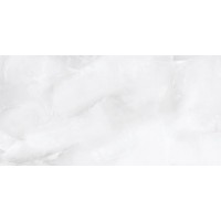 Onix Grey 58.5x118.5