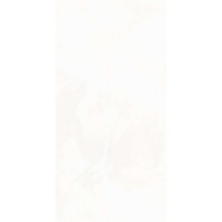 Onyx Hope Светло-серый Полированный 60х120