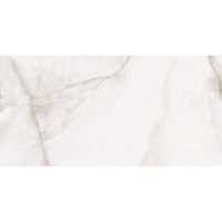 Onyx White PGVT 60x120