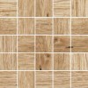 Oregon Wood Mosaic 25x25x0.9