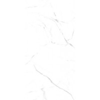 Oriental White 60x120