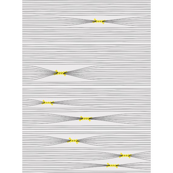 Керамогранит Otomi-4 Mix 25x75