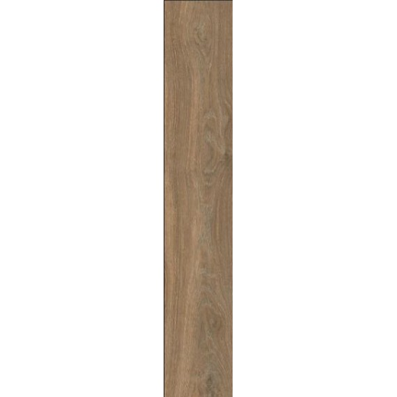 Керамогранит Oxford Brown Mat 20x120