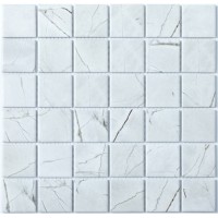 P-509 Porcelain series 306*306