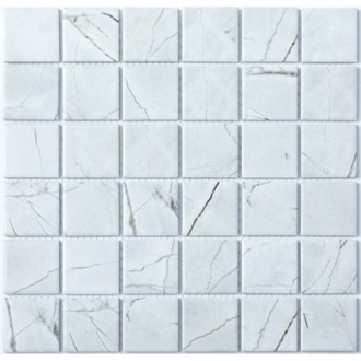 P-509 Porcelain series 306*306