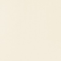 P-Beat of White 59.8x59.8