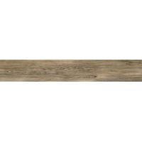 P-Terrane brown POL 119,8х19