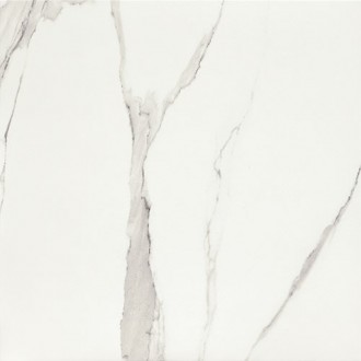 P- Bonella white 61x61
