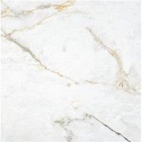 P.E. Carbis MT Gold 60x60