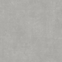 P010464 COLORFUL CONCRETE 120x120