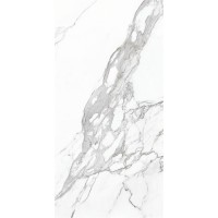 P10850 ETERNAL WHITE POLISHED RECTIFIED 60x120