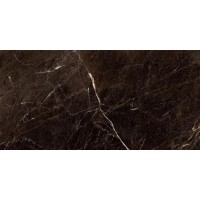 P10854.6 Керамогранит Java Brown PLSH Rec 60x120