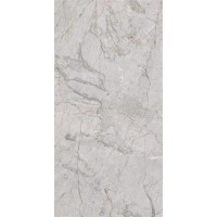 P10856 Quest Grey Polished 60x120