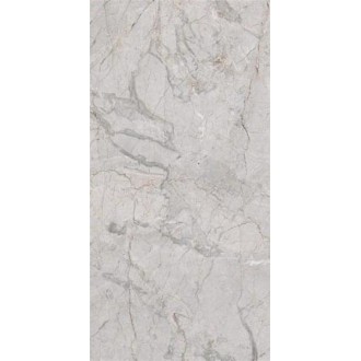 P10856 Quest Grey Polished 60x120