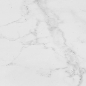 P14590361 Carrara Blanco Brillo 43.5x43.5