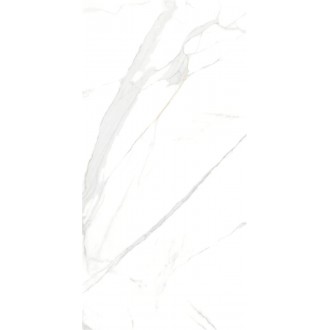 P15006 Royal Marble White Polished Rect 60x120