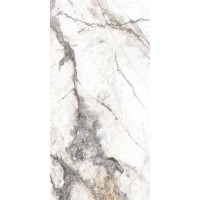 P15202 Invisible Marble Grey Polished 60x120