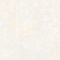 P16608 Керамогранит Avin Polished 60x60