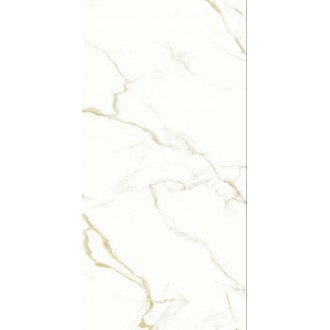 P17604 Керамогранит Helyon Polished 60x120