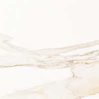 P1856898 Calacata Gold 59.6x59.6