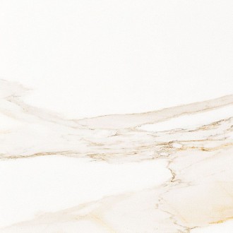 P1856898 Calacata Gold 59.6x59.6