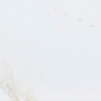 P1856999 Persia S-R 59,6x59,6