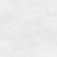 P18570791 Mexico Caliza 59.6x59.6