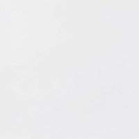 P1857101 MATT WHITE 59.6x59.6