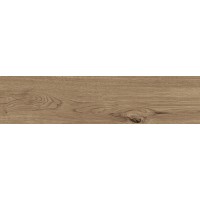 P18761871 DELAWARE NATURAL 29,4x120