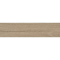 P18761881 DELAWARE ARCE 29,4x120