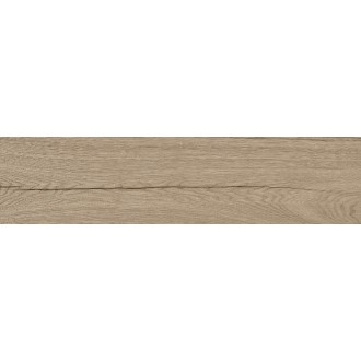 P18761881 DELAWARE ARCE 29,4x120