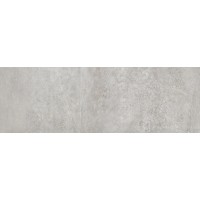 P19814311 Rodano Acero 33.3x100