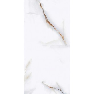 P76295 Керамогранит Barcelon Polished 60x120