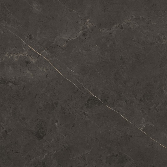 Керамогранит P92042841 Karachi Grey 120х120