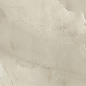 PASSION LUX 60 CHAMPAGNE 60*60