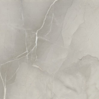 PASSION LUX 60 GREY 60*60