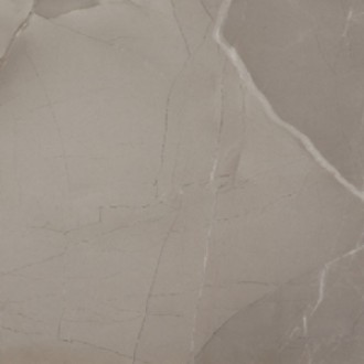 PASSION LUX 60 TAUPE 60*60