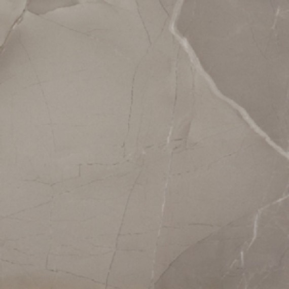 Керамогранит PASSION LUX 60 TAUPE 60*60