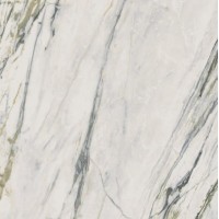 PF60009362 Calacatta Bamboo Nat Ret 80x80