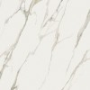 PF60010362 CALACATTA MICHELANGELO LUX R 120x120