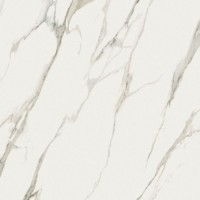 PF60010391 CALACATTA MICHELANGELO NAT R 120x120