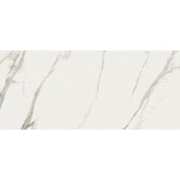 PF60010396 SENSI SIGNORIA Calacatta Michelangelo Nat R 60х120