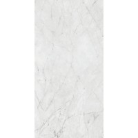 PF60012503 Керамогранит Carrara Lux Ret 60x120