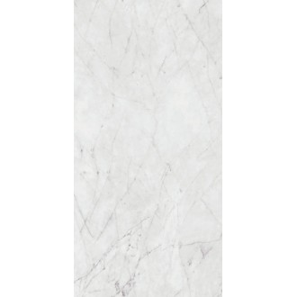 PF60012503 Керамогранит Carrara Lux Ret 60x120