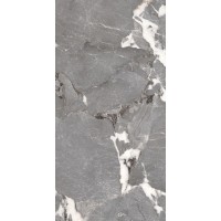 PGT1206010201SGR Керамогранит Pegasus Серый 60x120