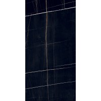 PGT120609705SGR Керамогранит Dorato Черный 60x120